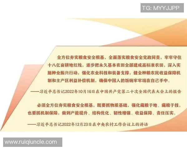 探索运动与健康的深度融合：提升体能、塑造身心的全方位指南