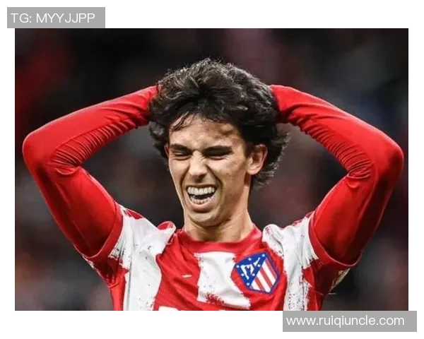 本菲卡足球俱乐部辉煌历程与未来发展前景分析