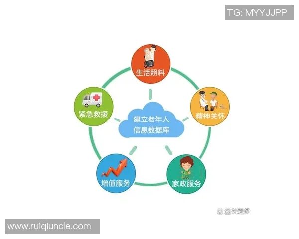 篮球魅力无限:从技巧提升到团队协作探索运动背后的精神与智慧